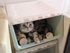 -喜多萌中农锦绣动物医院24H·猫科·牙科MRI·CT