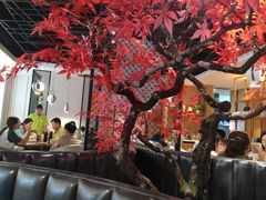 -禾珍珠家常小馆(河南博物院店)