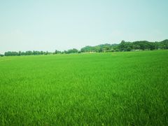 -崖口红树林海鲜餐厅