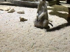 -重庆欢乐海底世界