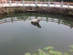 -白马涧龙池景区