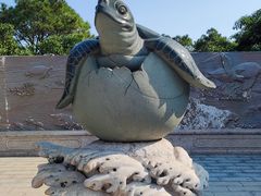 -广东惠东海龟国家级自然保护区