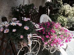 iphone_upload_pic-民国红公馆·艺文空间(颐和路店)