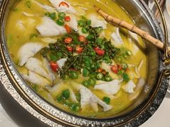 网红青花椒沸腾鲈鱼-上上席川菜(凯德乐峰广场店)