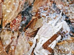 -海鲜e族(马王堆店)