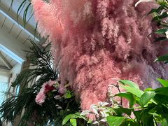 -春暖花开(西溪店)