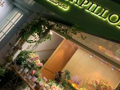 -蝶舍·MAISON PAPILLON