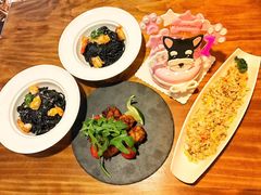 -百好乐宠物友好餐厅(朝外大街店)