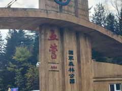 -五营红松林海景区