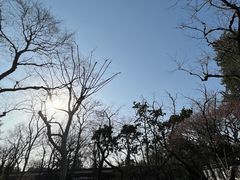 -拙政园