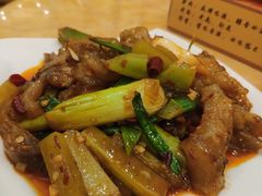 红烧驴蹄筋-敦煌达记酱驴肉黄面馆