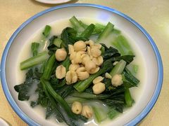 -威尼斯西餐厅(小榄大信店)