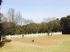 -青龙山公园
