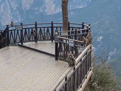 -重庆云阳龙缸景区