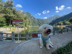 -秦岭终南山世界地质公园翠华山景区