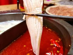 -蜀大侠火锅(森兰花园城店)