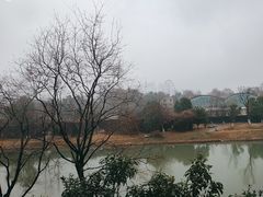 -丽华园(青少年宫店)