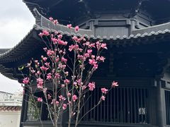-荔湾湖公园