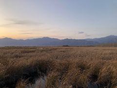 -野鸭湖国家湿地公园