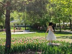 -长春公园(普阳街道)