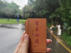 -深圳仙湖植物园