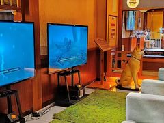 -大江户·温泉洗浴(浑南店)