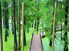 -青山湖景区