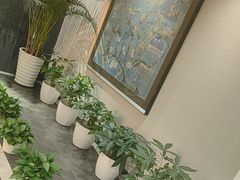 -黑松白鹿(金融街店)