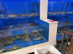 -小铜锣湾海鲜家常菜馆(河西店)