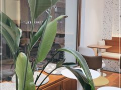 -Line 咖啡(石厦花园店)