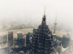 -上海柏悦酒店·世纪100牛排馆