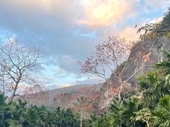 -霸王岭国家森林公园