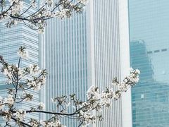 -西北湖绿化广场