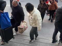 -朱辛庄(地铁站)