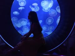 -成都浩海立方海洋公园