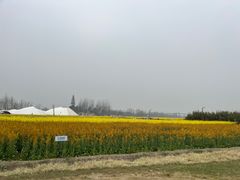 -中国天府农业博览园