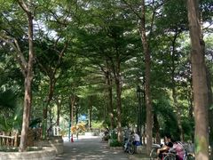 -怡海公园(桂城街道)