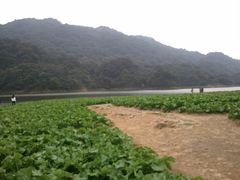 -广州市石门国家森林公园
