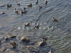 -深圳湾公园(南山区)