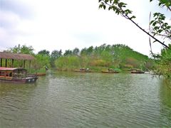 -溱湖国家湿地公园