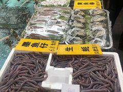 -寻味顺德·南记酒家·传统顺德菜·鱼生(广源路店)