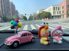 -上海普陀宝诚MINI4S店(红柳路店)