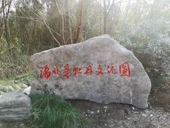 -上海海湾国家森林公园