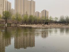 -前关湿地公园