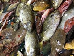 -鸿港海鲜批发市场