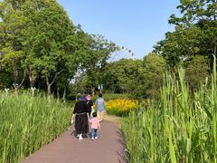 -暨阳湖生态园