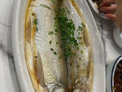 清蒸白鱼-蟹天蟹地农家菜·阳澄湖大闸蟹(浅水湾店)