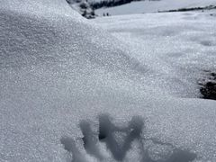 -新疆那拉提国家旅游度假区