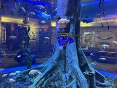 -长隆海洋王国自助餐厅(横琴湾店)