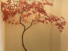 -有茶空间(万科金色半山店)